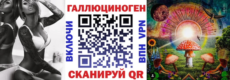 Купить закладки  Щигры  Галлюциногенные грибы Psilocybine cubensis 