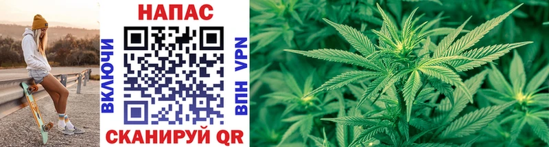 Шишки марихуана Bruce Banner  Купить  Щигры